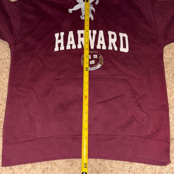 Harvard Hoodie Sweatshirt Medium - Picture 4 of 7